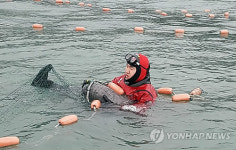 여수 바다서 그물에 걸린 상괭이 구조