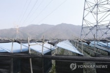 고압선 때문에 흐린 날에는 한우 초음파검사도 못해요