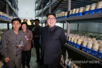 북한 김정은, 평양버섯공장 시찰…박봉주 총리 동행