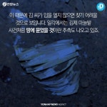[카드뉴스] 돈다발GO…기상천외한 검은돈 은닉 장소