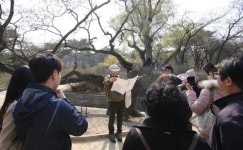 뒤주 갇힌 사도세자의 통곡, 창경궁 회화나무는 들었다