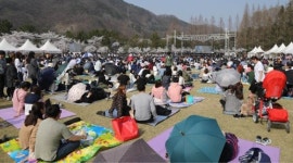 [대전소식] 대전칼국수 축제 성황
