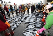 부산공동어시장 주요 어종 위판량 반토막…최악의 불황