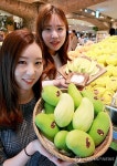 사과처럼 깎아먹는 초록 망고 어떠세요?