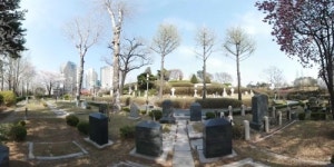 [VR현장] 벚꽃도 즐기고 역사도 배우고…외국인 선교사 묘원