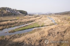 복원사업이 추진될 보강교 인근 보강천