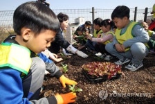 무럭무럭 자라나렴