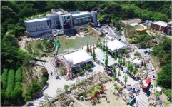 방한금지령 이기자…서울↔경기 관광셔틀버스 운행