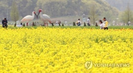 봄 수채화