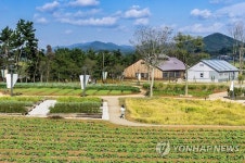 [주말 N 여행] 호남권: 꽃 심고 보물 찾고…고창 상하농원 봄맞이 축제