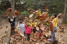 동네마다 유아숲 서울시 2023년까지 400개로 확대