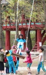 천연 숲으로 놀러오세요