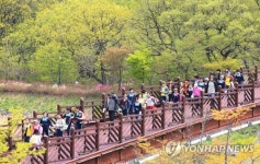 천연 숲으로 놀러오세요