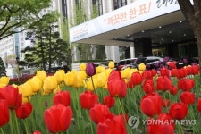 정부서울청사엔 울긋불긋 튤립 한창