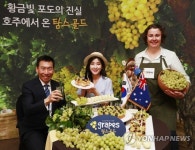 미성컴퍼니;탐스 | 호주에서 온 '탐스골드' 맛보세요