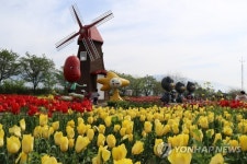 화사한 봄꽃의 향연