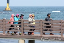 제주 서쪽 바다 담은 올레길 걷기