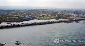 푸른 제주 바다 따라 걷는 올레길