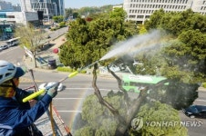 천년향, 봄맞이 시원한 목욕