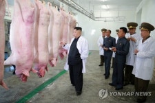 북한 김정은, 돼지공장 시찰