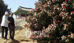 발전소 건설로 사라진 서천 동백정해수욕장 38년만에 복원한다