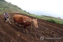 소와 농민