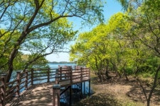 [길따라 멋따라] 눈·코·입의 힐링…군산저수지 산책길