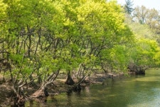 [길따라 멋따라] 눈·코·입의 힐링…군산저수지 산책길