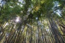 [길따라 멋따라] 눈·코·입의 힐링…군산저수지 산책길