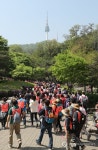 봄빛 가득한 서울 남산 트래킹