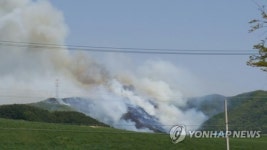 서산 운산면 산불