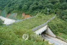 동물 다니라는 길에 사람만…이름뿐인 생태 통로