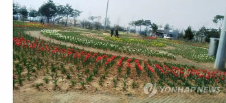 청주시 문암생태공원 200대 주차공간 추가 조성