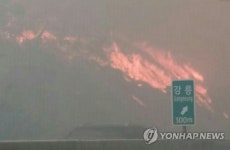 강릉 산불로 통제했던 고속도로 전 구간 통행 재개
