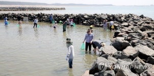 별주부마을 독살체험 중인 관광객들