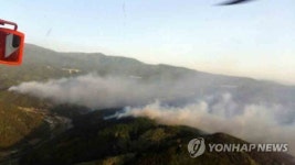 강릉·상주·영덕 동해안 벨트 덮친 화마…삼척은 밤샘 진화