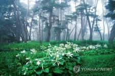 소수서원 학자수