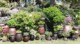 야생화 보러 오세요.