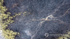 화마 할퀸 삼척 점리의 봄은 침묵했다
