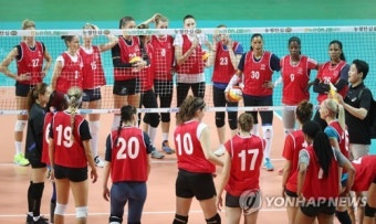 2017 여자배구 트라이아웃