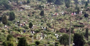 충주 공설묘지 신규 매장 중단…공원 활용 추진