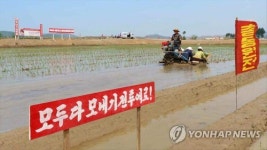 北, 올해 첫 모내기…가뭄 피해 예방 독려