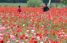 꽃밭에서 추억 남기기