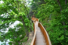 [길따라 멋따라] 고즈넉한 숲의 향기 일품인 증평 등잔길
