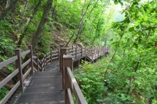 [길따라 멋따라] 고즈넉한 숲의 향기 일품인 증평 등잔길