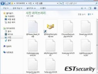 진화한 랜섬웨어, 이틀만에 세계정복…한국 D-데이는 월요일