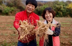 송악 감자·합덕 쪽파…당진시 1지역 1특화 품목 육성