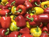 평창군, 올해 농산물 수출 목표 1천230만 달러