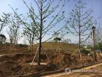 영호남 화합의 숲