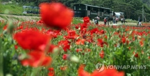 수채화 같은 풍경